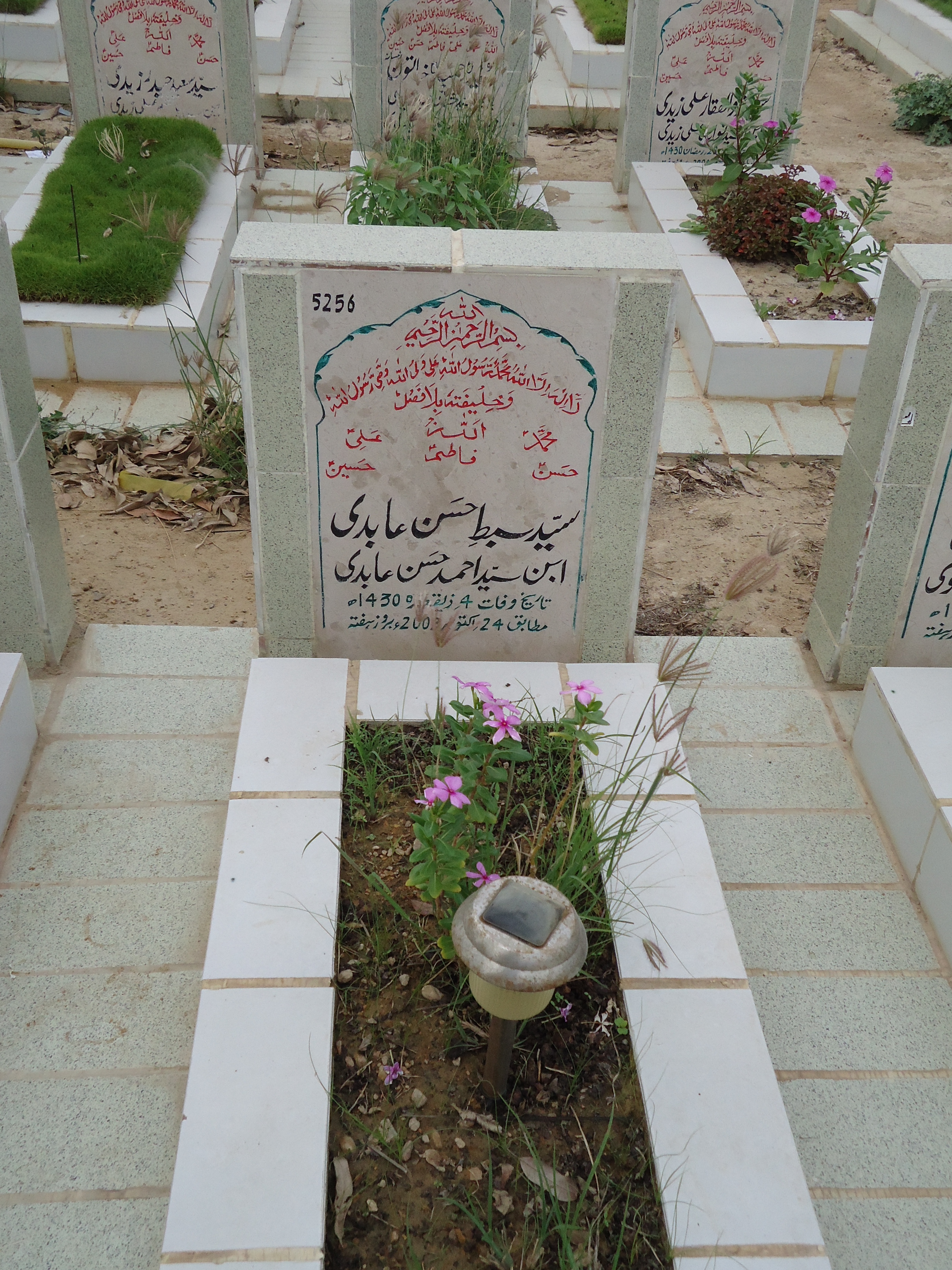 5256 – Syed Sibtay Hasan Abidi